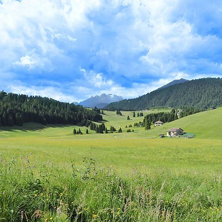 Apartment With Garden, Del Corlo Lake, Belluno Primolano Exterior photo